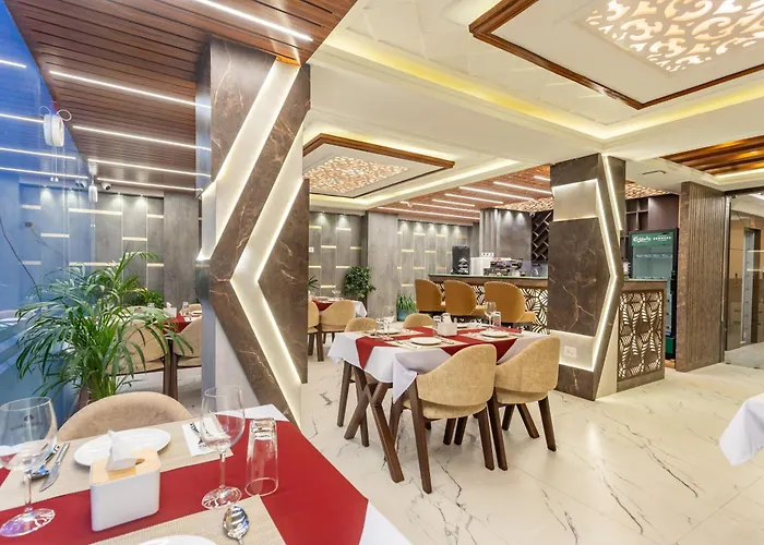 Airport Diana Hotel 3*